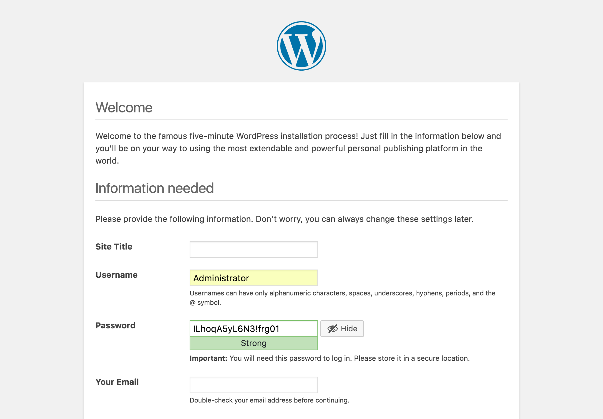 WordPress Install Website And Admin Details