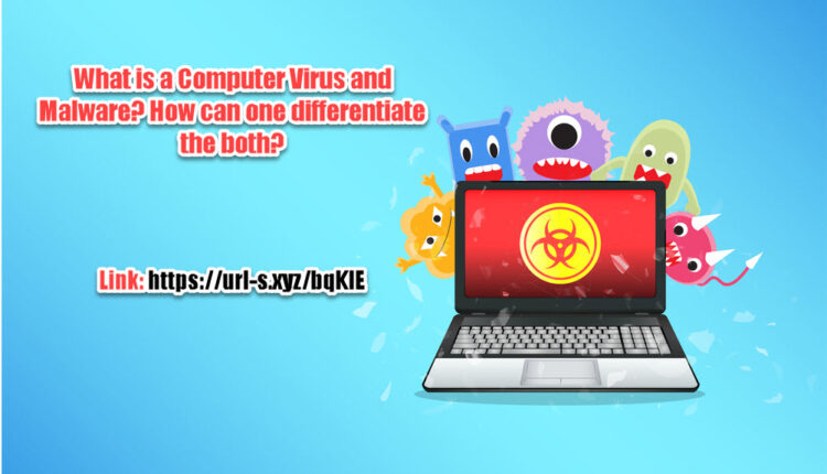 What is a computer virus and malware and how one can differentiate the both