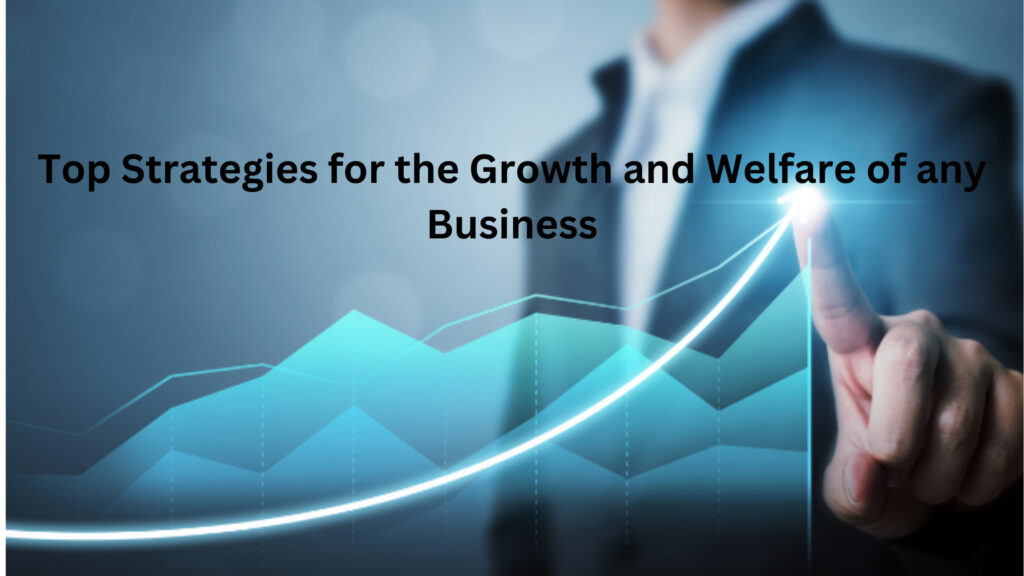 Top Strategies for the Growth and Welfare of any Business | eInfoDesk